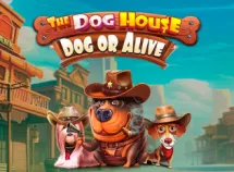 The Dog's Niche - Dog or Lively